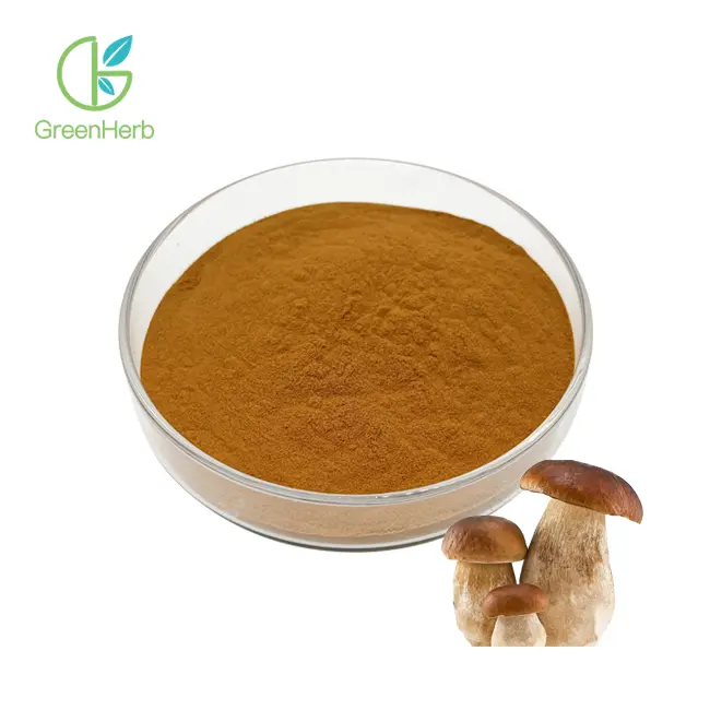 Boletus Extract